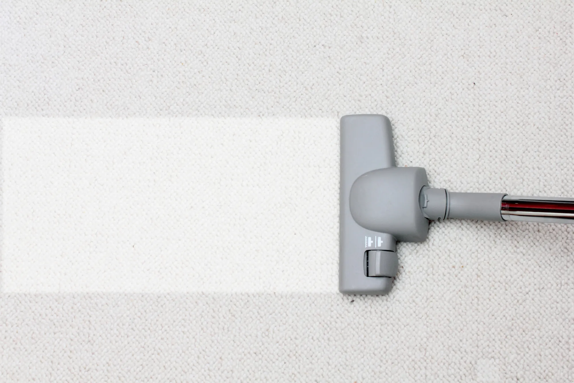 Refresh Your Carpets Today - Don’t Wait to Book!