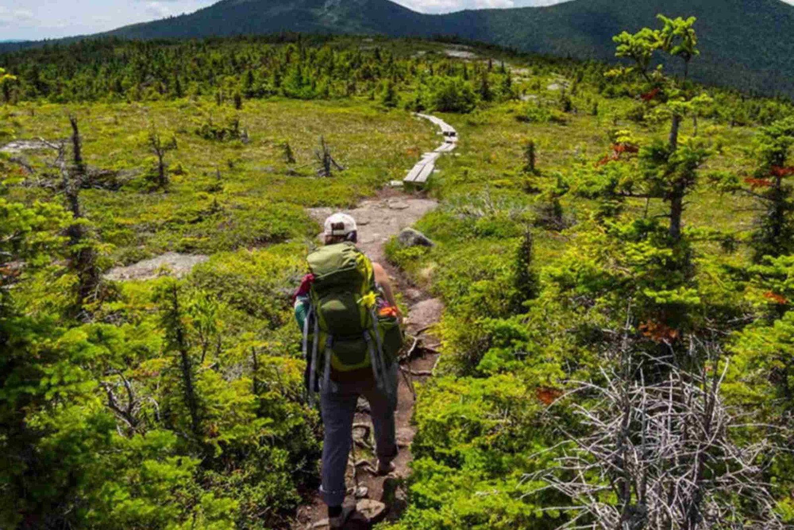 Trail Guide — Hiking Near Abu Dhabi: Routes, Distance & Tips