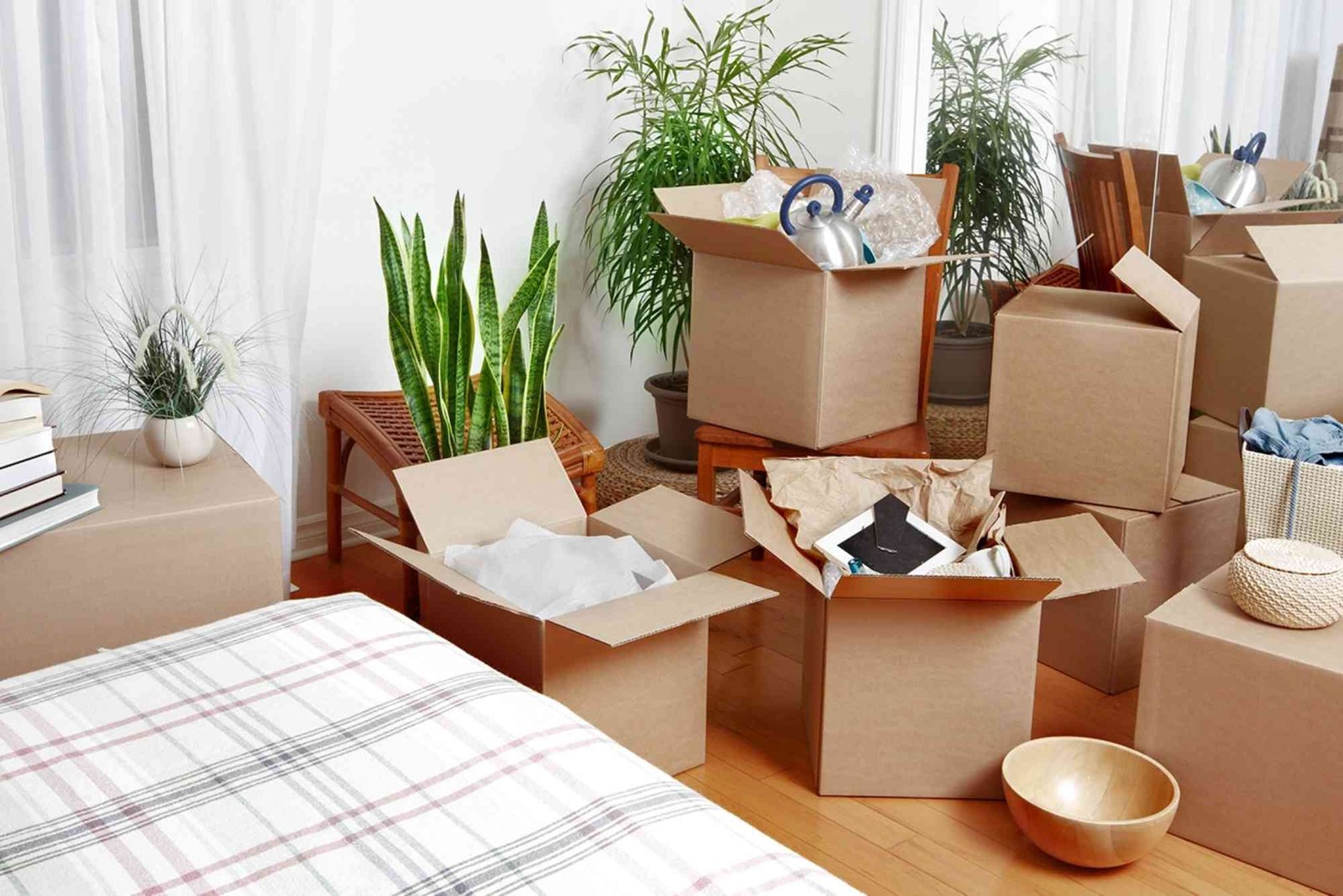 What to Bring Home from Each Region