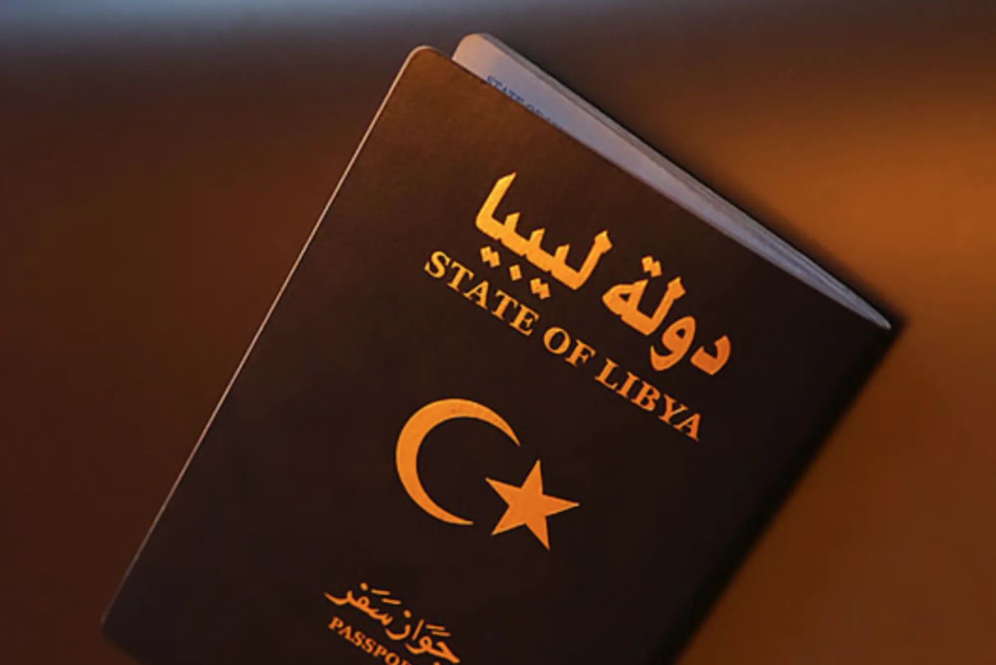 Libya Visa Price in 2026